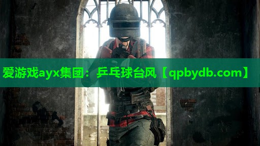 爱游戏ayx集团：乒乓球台风