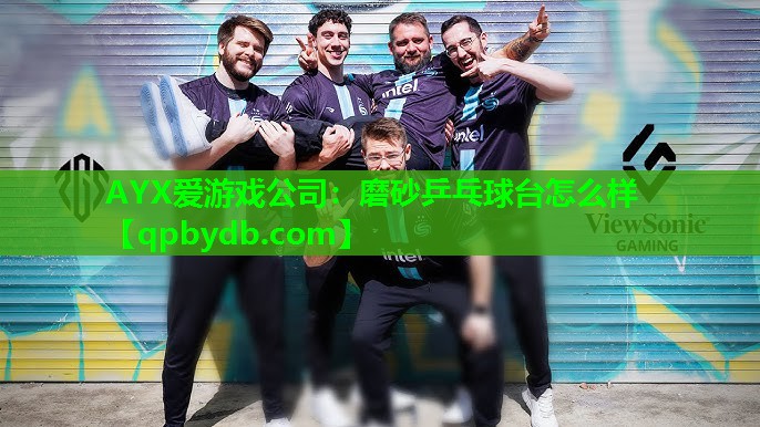 AYX爱游戏公司：磨砂乒乓球台怎么样