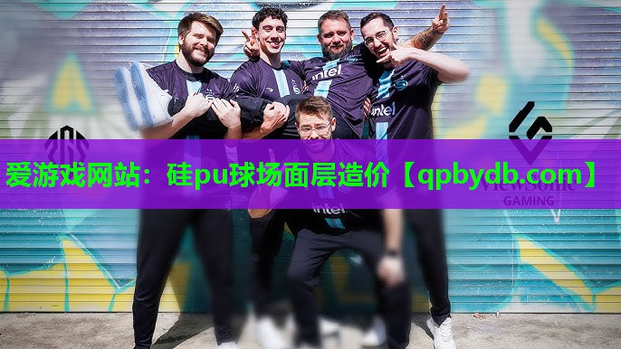 爱游戏网站：硅pu球场面层造价