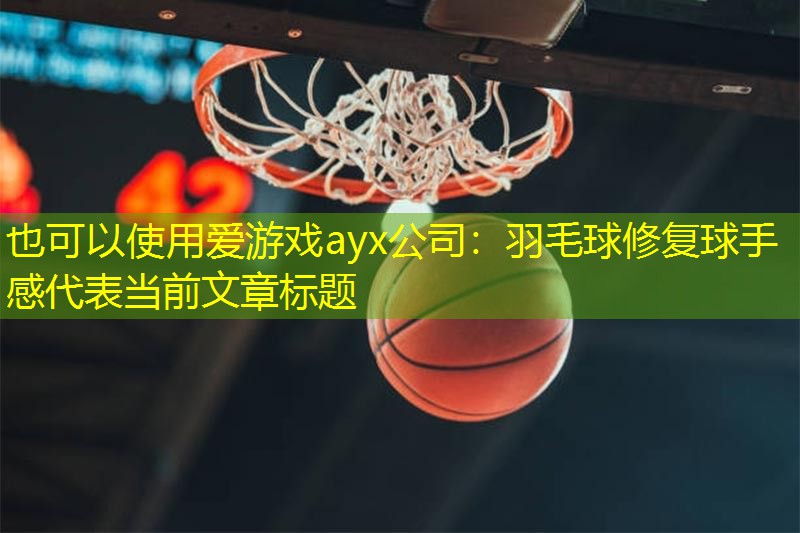 爱游戏ayx公司：羽毛球修复球手感